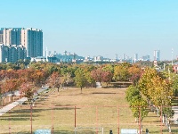 冬日东西湖，随时随地动起来