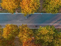 东西湖，抄作业游冬
