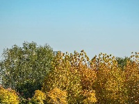 围观，一场没有门票的草坪音乐会