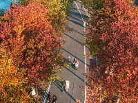 围观，一场没有门票的草坪音乐会