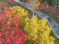东西湖，抄作业游冬