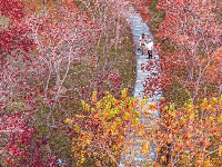 东西湖，抄作业游冬