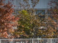 冬日东西湖，随时随地动起来