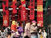 东西湖的花鸟市场，也太好逛了吧