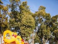 东西湖这个街，新春仪式感拉满！