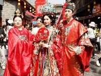 迎春光 赞花韵 赏花朝