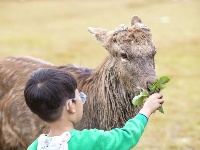 猜猜今天是谁在跟你说早安？