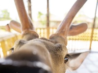 猜猜今天是谁在跟你说早安？