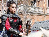 迎春光 赞花韵 赏花朝