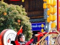 迎春光 赞花韵 赏花朝