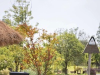 猜猜今天是谁在跟你说早安？