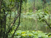 猜猜今天是谁在跟你说早安？