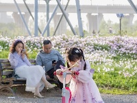 花海又又又上新
