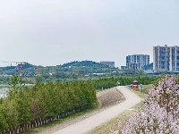 你猜，这是哪？