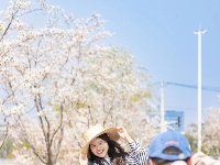 樱花溪顶流机位公开～轻松拍出氛围感