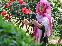 终于等到！东西湖四月最美花海在这里