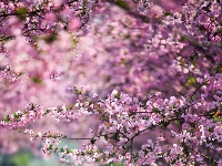 ～美～美～美～