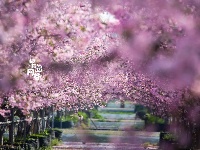 ～美～美～美～