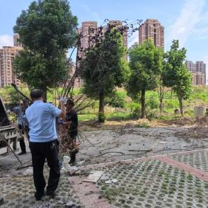 “扮靓”城市面貌 将军路街“四线一口”综合整治再发力