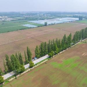 废料变宝，什么来头？