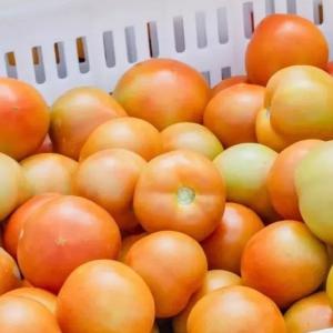 速点！将东西湖鲜味带回家