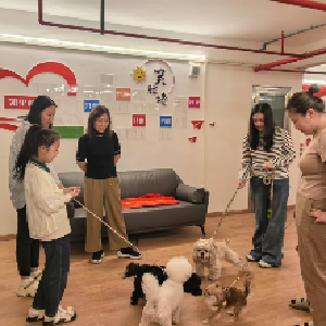 径河街黄狮海社区开展“爪爪联盟”议事会活动