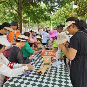 清风粽香传家训 廉洁文化润民心