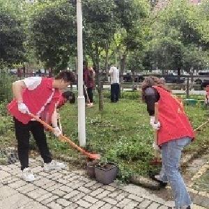 将军北路社区开展“清杂草、美环境”清洁家园活动