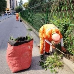 汛前备战显担当，将军路街积极行动守护城市“生命线”