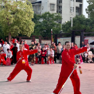 新苑社区“五一”文艺晚会圆满落幕，共绘欢乐劳动画卷
