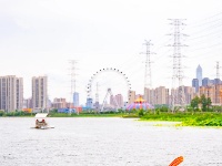 黄塘湖隐藏“荷式”避暑，绝！