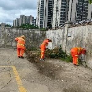 部门联合攻坚 将军路街千平米“顽疾”空地焕新颜