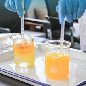 它，会不会是东西湖的“六小龙”？