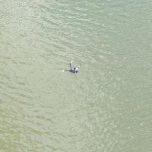 “别游了，说你呢！”东西湖上空谁在喊话？