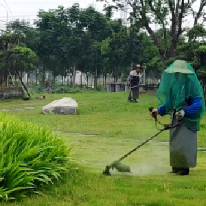 雨后“净”行动 “绣”出高颜值