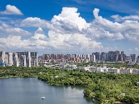求大神鉴定，在线等，挺急的！