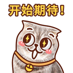 8月28日，会不会有人请宵夜？