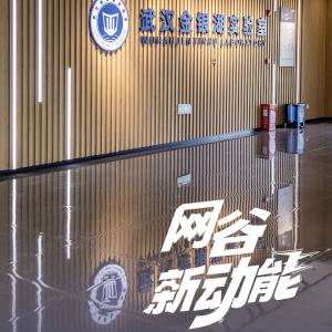 即将诞生！国内首个代码安全大模型，就在网谷！