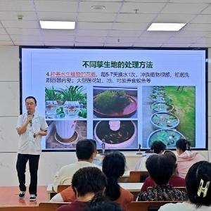 科学防控 远离“蚊”扰 走马岭街打响登革热、基孔肯雅热“双防战”
