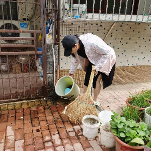 恒春里社区开展“清洁家园 防蚊灭蚊”专项行动