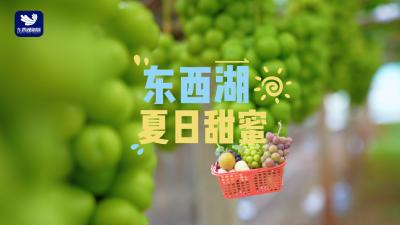 这个夏天，来东西湖把甜蜜打包带走！