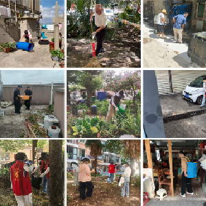 吴家山街道开展杀蚊灭蚊行动