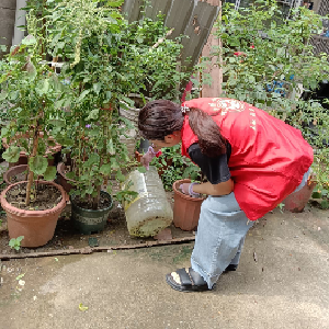 望丰社区开展灭蚊清水体专项行动