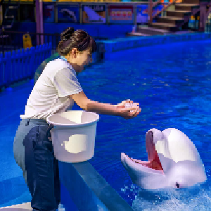 动物抱“冰”消暑，游客“冻”感狂欢！武汉极地防暑有“奇招”！