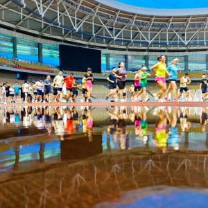 8月8日，免费开放！