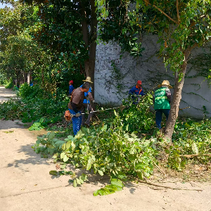 共建清洁家园 守护居民健康