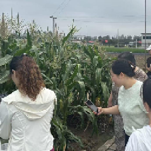 区妇联举办巾帼宣讲赋能活动