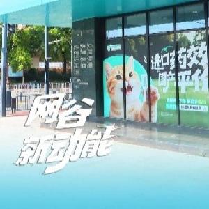 东西湖产新药上市，首批订单破百万！