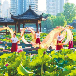  从百湖之市到千园之城 一座超大城市的美丽生活