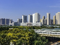 在东西湖，“上天入地”